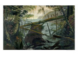 Indians Using a Fallen Tree-Trunk to Cross the Rio Paraiba Do Sul Lámina giclée por Jean Baptiste Debret