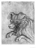 Head of a Dog Giclée-tryk af Antonio Pisani Pisanello Head of a Dog Giclée-tryk af Antonio Pisani Pisanello
