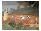 The Miracles of St. Clare of Assisi, Detail of St. Clare Blessing the Harvest, 1523-24 Giclée-tryk af Lorenzo Lotto