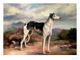 A Greyhound in a Hilly Landscape Giclee-trykk av James Beard