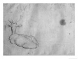 Resting Stag, Seen from Behind Giclee Print by Antonio Pisani Pisanello