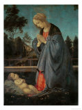 Madonna Worshipping the Child, circa 1477-80 Giclee Print by Filippino Lippi