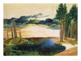 Lake in the Woods reproduction procédé giclée par Albrecht Dürer