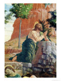 Agony in Garden, Left Hand Predella Panel from the Altarpiece of St. Zeno of Verona, 1456-60 Giclee Print by Andrea Mantegna