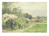October Flowers Giclee-trykk av Wilfred Williams Ball October Flowers Giclee-trykk av Wilfred Williams Ball