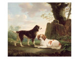 Two Spaniels in a Landscape Giclee Print by Charles Towne