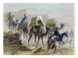 The Camel Train, from 