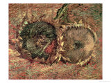 Two Cut Sunflowers, c.1887 Giclee Print by Vincent van Gogh