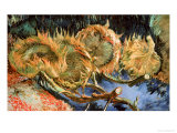 Four Cut Sunflowers, c.1887 Giclée-Druck von Vincent van Gogh