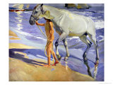 Washing the Horse, 1909 Giclee Print by Joaquín Sorolla y Bastida