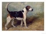 Moonstone, 1895 Giclee Print by John Emms