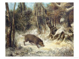 Wild Boar in the Snow, Signed as Courbet Giclee Print by Cherubino Pata