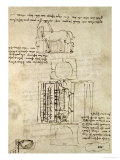 Sketch of a Horse and Various Other Diagrams Gicleetryck av Leonardo da Vinci Sketch of a Horse and Various Other Diagrams Gicleetryck av Leonardo da Vinci