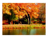 Kettering Wheel Photographic Print by April Sims