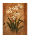 Orchid Study Posters by Tan Chun