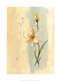 Antique Flowers I Poster by Paul Hargittai