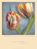 Parrot Tulips I Prints by Sally Wetherby