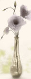 Charming Lisianthus Affiches par Donna Geissler