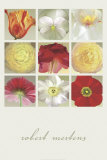 Floral Collection Plakater af Robert Mertens Floral Collection Plakater af Robert Mertens