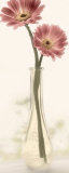 Charming Daisy Prints by Donna Geissler