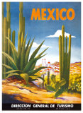 Cacti, Mexico Prints