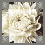 Dahlia Icon I Prints by Christine Elizabeth