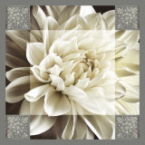 Dahlia Icon II Posters by Christine Elizabeth
