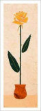 Origami Rose Poster por Frank Marchese Origami Rose Poster por Frank Marchese
