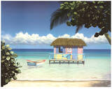 Island Hut Poster von Daniel Pollera