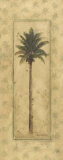 Coconut Palm Print by T. C. Chiu