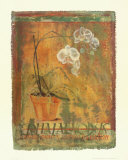 Canvas Floral I Prints by Lucinda Foy