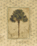 Palmera elegante Pósters por T. C. Chiu