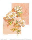 Rose II Posters por Jerianne Van Dijk Rose II Posters por Jerianne Van Dijk