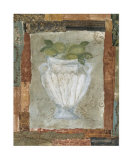 Lime Fresco Poster by Krista Sheldon