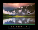 Aigle Poster
