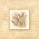 Wheat Posters by Jerianne Van Dijk