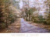Sentiero in autunno Poster di Diane Romanello Sentiero in autunno Poster di Diane Romanello