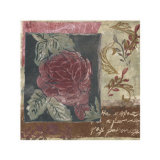 La Rosa I Art by Krista Sheldon