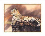 Léopard couché Affiches par Nancy Azneer