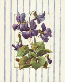 Striped Botanical Violet Art par Jerianne Van Dijk