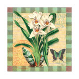 Orchidee aus Asien Poster von Walter Robertson