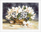 Magnolias et compagnie Poster par Jerianne Van Dijk