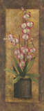 Orchidée rose en pot Affiche par T. C. Chiu