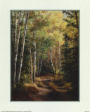 Sentier en forêt Affiches par Durgin 