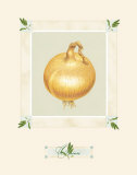 Onion Posters av Alex Bloch Onion Posters av Alex Bloch