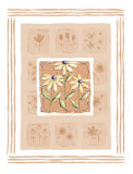 Black-Eyed Susans Prints by Wilma Sanchez