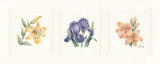 Floral Spray II Art by Sharon Medler