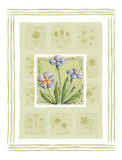 Petunias Posters by Wilma Sanchez