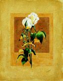 Long Stem Double Posters by Nancy Azneer