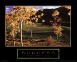 Success: Golf II Prints